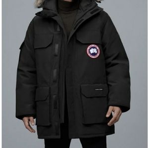 Canada goose expedition